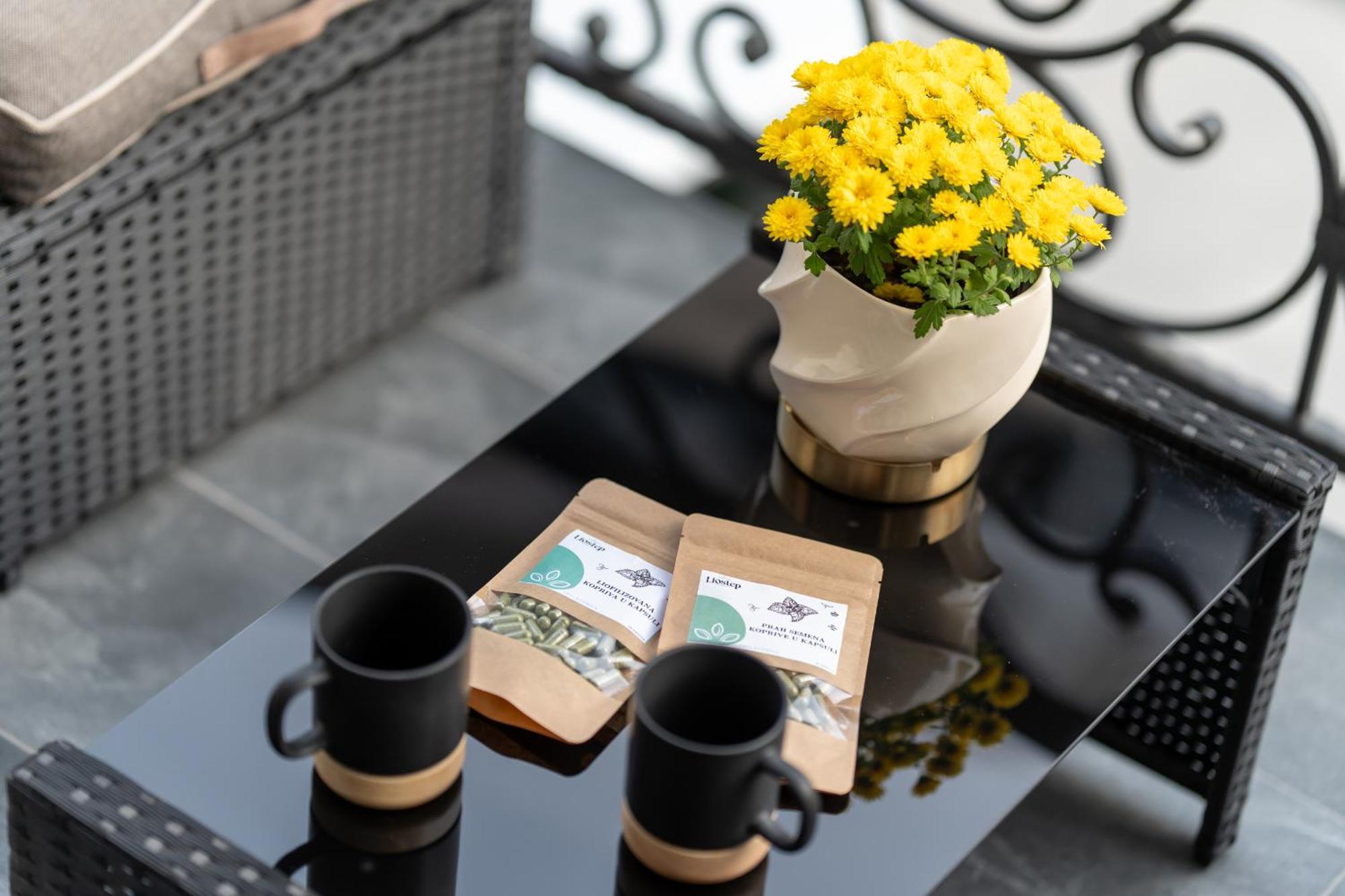 Apartment Zlatiborski Trenutak Wellness &